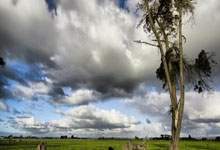 2024年巴黎奥运会赛程都有哪些看点？