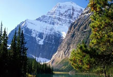 2020年足球世界杯赛程表是怎样的？